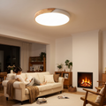 LED ceiling light with modern Nordic wooden design