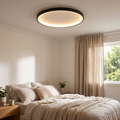 Nordic disc LED ceiling light, modern flush mount lamp